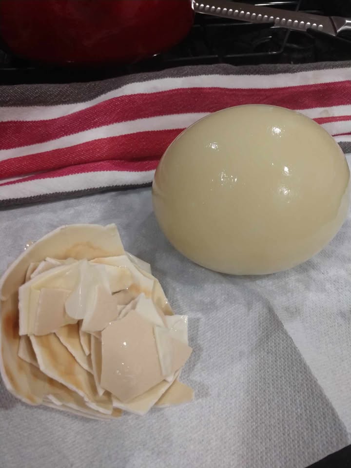 Ostrich Eating Egg