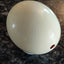 Empty Ostrich Eggshell