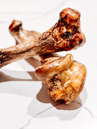 Ostrich Whole Femur