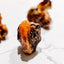 Ostrich Knuckle Bones