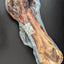 Ostrich Whole Femur