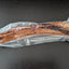 Ostrich Trachea 1pcs
